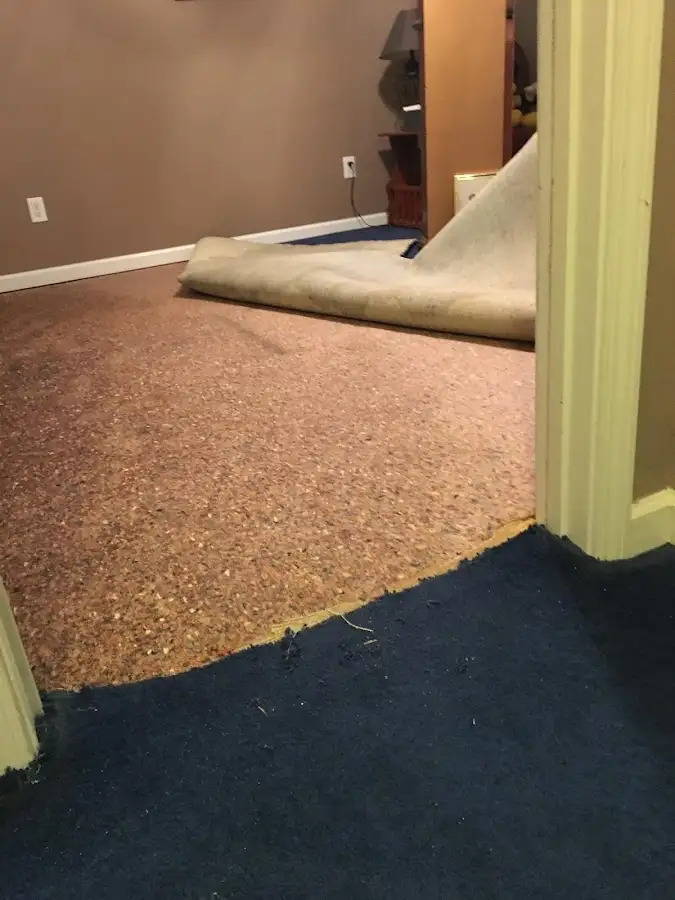 Carpet pad removal revealing water damage during Water Mitigation Services in Westphalia