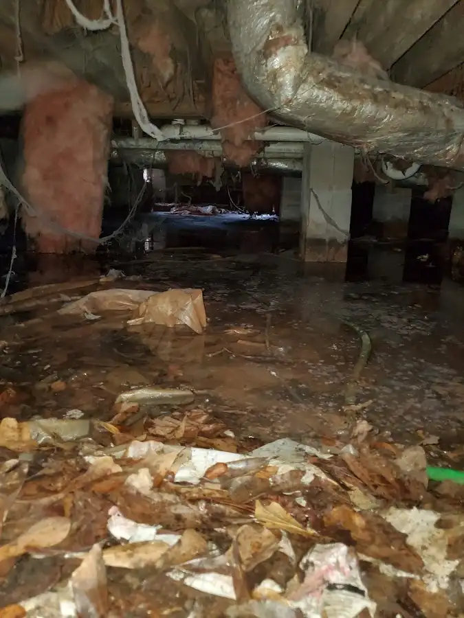 Crawl space flood assessment for Leak Detection & Repair in Westphalia