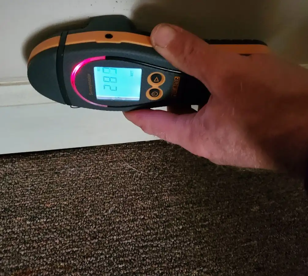 Moisture detection at baseboard during Sewage Cleanup & Sanitation in Westphalia